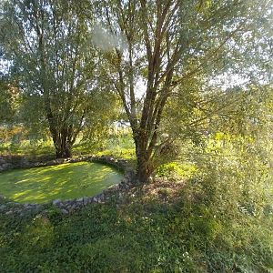 Zamocs Zoo - Cat House - Lion enclosure