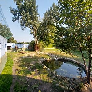 Zamocs Zoo - Cat House - Lion enclosure