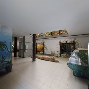 Zamocs Zoo - Cat House - Interior