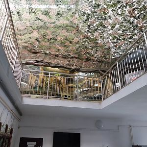 Zamocs Zoo - Cat House - Reptile first floor