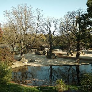 Asian Rhino + Hoofstock Exhibit - Fall 2024