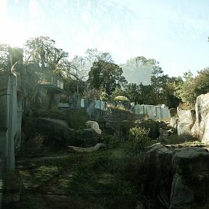 Polar Bear Exhibit (Fall 2024)