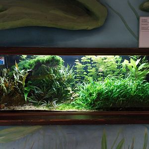 Zamocs Zoo - Cat House - Aquarium - Southeast Asia aquarium