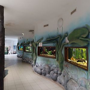 Zamocs Zoo - Cat House - Aquarium