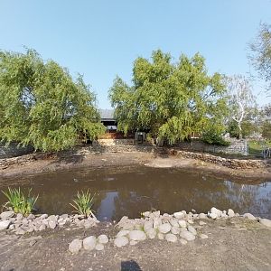 Zamocs Zoo - South American Tapir enclosure