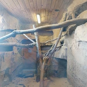 Zamocs Zoo - Giraffe building - Meerkat enclosure