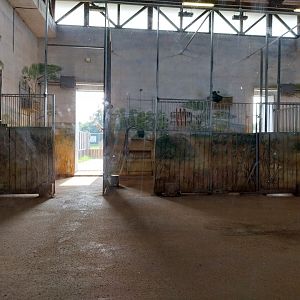 Zamocs Zoo - Giraffe building