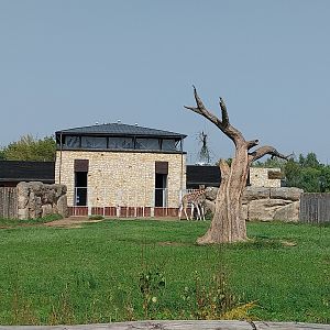 Zamocs Zoo - Giraffe building