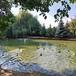 Wojciechow Zoo - General view