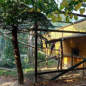 Wojciechow Zoo - Macaw aviary