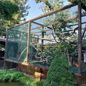 Wojciechow Zoo - Squirrel Monkey (Saimiri ssp) and Cotton-top Tamarin (Saguinis oedipus)