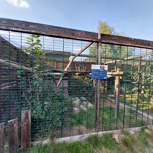Wojciechow Zoo - Jaguarundi enclosure