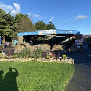 Rockpool Explorer area 060125