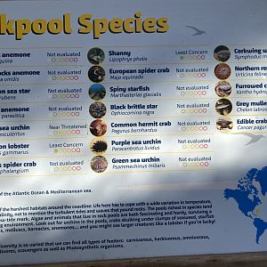 Inhabitants signage for Rockpool area 060125