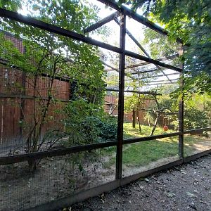 Wojciechow Zoo - Caracal enclosure