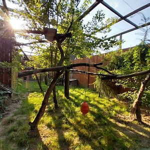 Wojciechow Zoo - Caracal enclosure