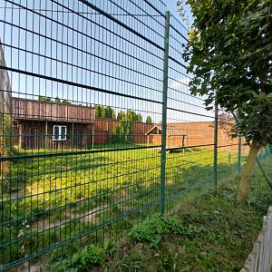 Wojciechow Zoo - Southeast African Lion - Second enclosure