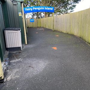 Path towards Little penguin exhibit 060125