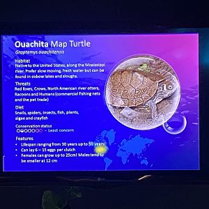 Signage example 060125