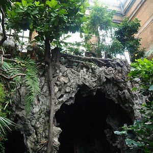 Winter garden/Seasonal butterfly house - Cave with entrance and exit, 2023-07-22