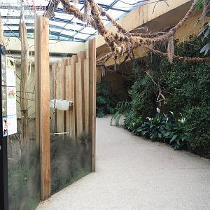 View in okapi house, 2023-07-22