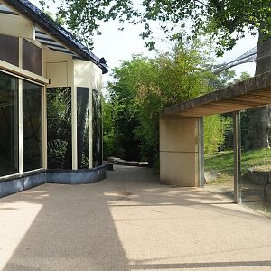 Walkway with viewing windows into gorilla indoor 'sunroom' exhibit and gorilla outdoor exhibit, 2023-07-22