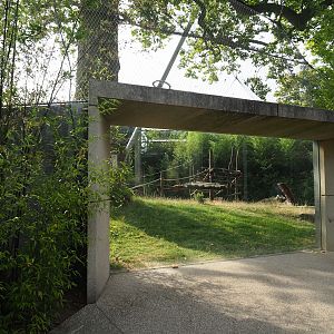 Gorilla outdoor exhibit viewing area, 2023-07-22