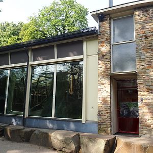Gorilla indoor 'sunroom' exhibit and keeper access into ape house, 2023-07-22