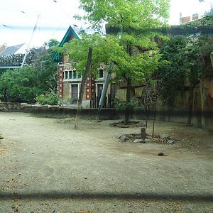 Savanna aviary with cape buffaloes and African birds, a2023-07-22