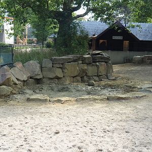 Southern white rhinoceros and Grant's zebra paddock - Mud wallow, 2023-07-22