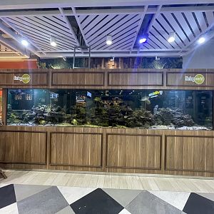 living world alam sutera’s saltwater aquarium