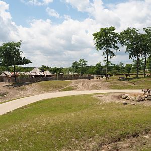 Serenga - Savanna exhibit, 2024-06-23