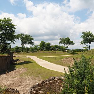 Serenga - Savanna exhibit, 2024-06-23