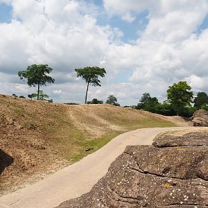 Serenga - Domestic Bactrian camel and Persian onager exhibit with safari truck road, 2024-06-23