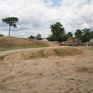 Serenga - Domestic Bactrian camel and Persian onager exhibit, 2024-06-23