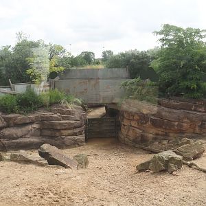 Serenga - Bridge over passage to off-show holding for greater rheas and vicuñas, 2024-06-23