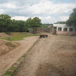 Serenga - Domestic Bactrian camel and Persian onager exhibit, 2024-06-23
