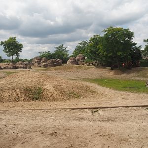 Serenga - Domestic Bactrian camel and Persian onager exhibit, 2024-06-23