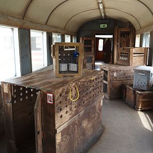 Serenga - View inside derailed train viewing area with poachers' hide-out theming, 2024-06-23