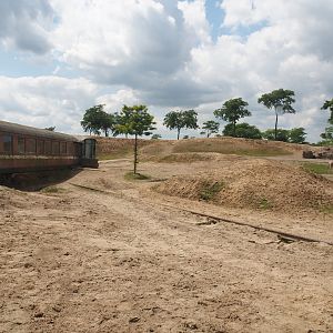 Serenga - Domestic Bactrian camel and Persian onager exhibit, 2024-06-23