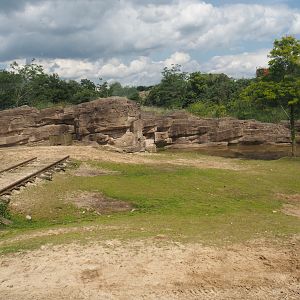 Serenga - Domestic Bactrian camel and Persian onager exhibit, 2024-06-23
