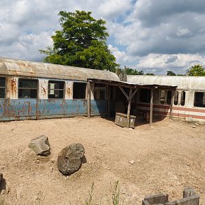 Serenga - Vicuña and Greater rhea exhibit and derailed train viewing area, 2024-06-23
