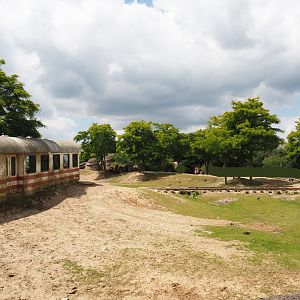Serenga - Domestic Bactrian camel and Persian onager exhibit and derailed train viewing area, 2024-06-23