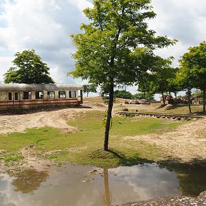 Serenga - Domestic Bactrian camel and Persian onager exhibit and derailed train viewing area, 2024-06-23