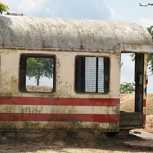 Serenga - Derailed train viewing area and feeding area for Bactrian camels and Persian onagers, 2024-06-23