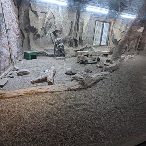 Forest of The Conservation - New Svalbard Rock Ptarmigan Exhibit