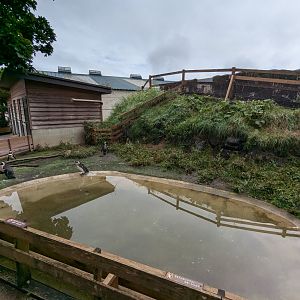 Penguin Village - African Penguin Enclosure