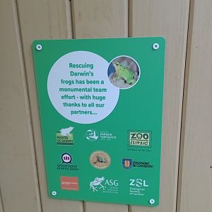 Darwin's frog signage