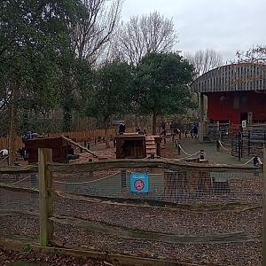 New goat walkthrough