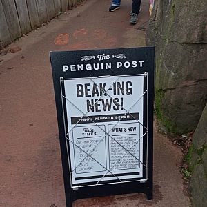 News post at Penguin Beach